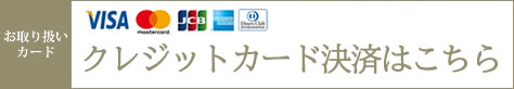 新橋メンズエステＬｙｎｘ(リンクス)のクレジットカード決済